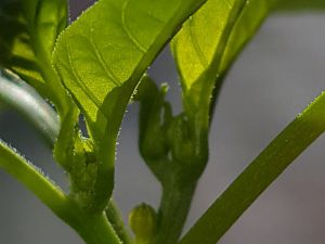 20170213_144804[1]
