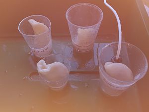 20170214_083437[1]