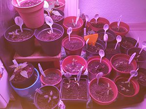 20170214_083537[1]