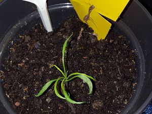 20170214_084145[1]