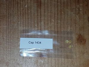 Media 'CAP1434 A' in album 'Capsa_Head´s Chili 2017'