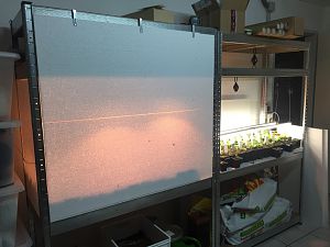 Growbox IMG_3662