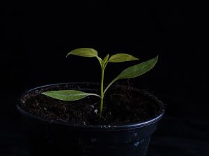 170224_PM0363