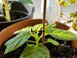 20170225_095008[1]
