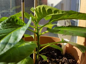 20170225_095051[1]