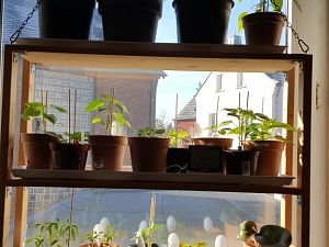 20170225_095234[1]