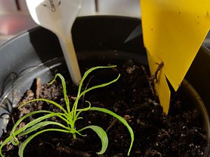20170225_102023[1]