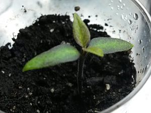 20170228_205224