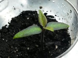 20170228_205231