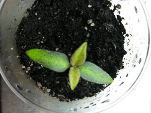 20170228_205347
