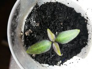 20170228_205401