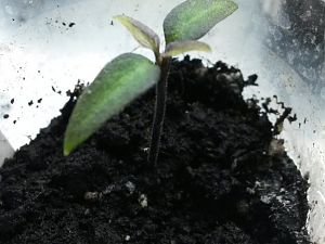 20170228_205457