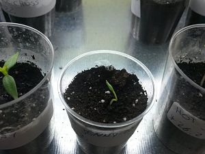 20170228_205632