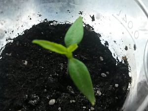 20170228_205641