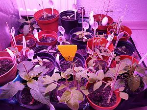 20170304_075149[1]