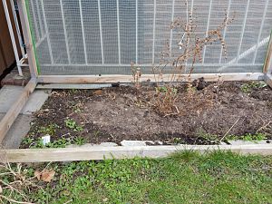 20170302_122942[1]