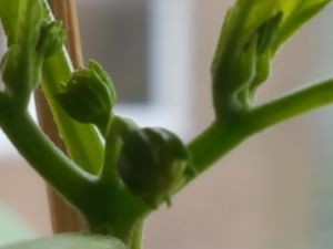 20170303_094622[1]