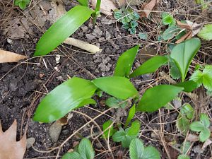 20170227_155859[1]