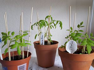 20170302_112854[1]