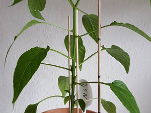 20170302_110339[1]