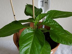 20170302_112732[1]