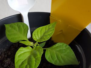 20170302_111325[1]