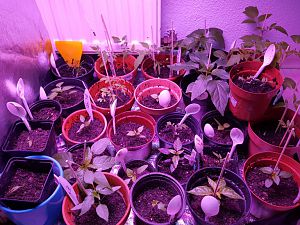 20170307_095046[1]