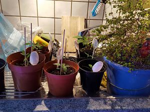 20170307_093808[1]