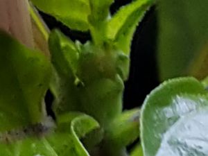 20170307_152840[1]