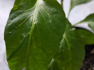 20170308_163826[1]
