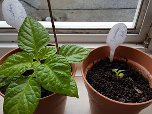20170310_100528[1]