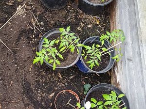 20170317_135843[1]