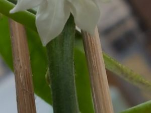 20170317_162934[1]