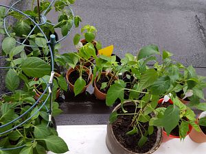 20170318_171557[1]