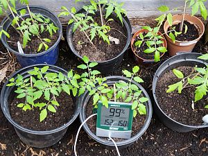20170322_172142[1]