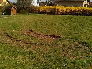 IMG_20170401_121205