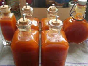 Habanero-Mango Sauce.