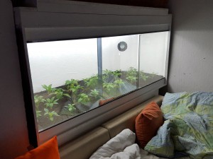 20151221_005820