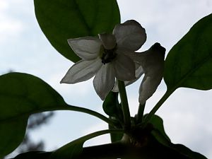 20170404_151653