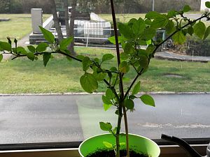 20170404_151700