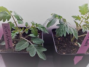 20170405_122238