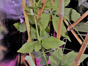 20170406_101001