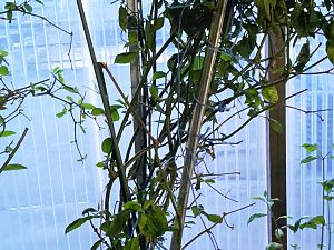 20170407_063619