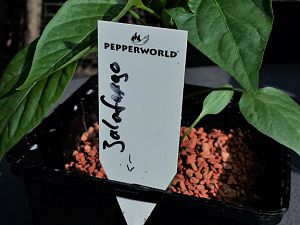20170408_165045