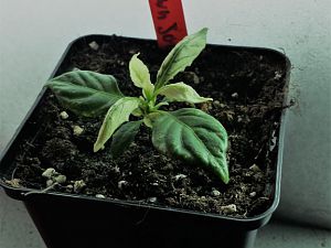 20170410_171326