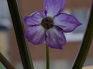20170411_082048