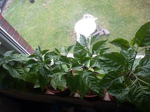 20170413_112052