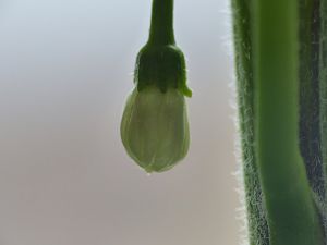 P1000789