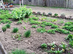 Garten1 025