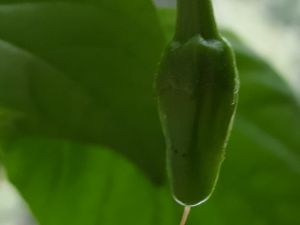 20170418_150602